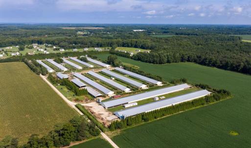 Photo #8 of 21213 BIG FARM RD, MELFA, VA 22.9 acres