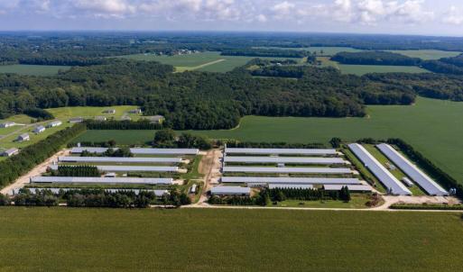 Photo #9 of 21213 BIG FARM RD, MELFA, VA 22.9 acres
