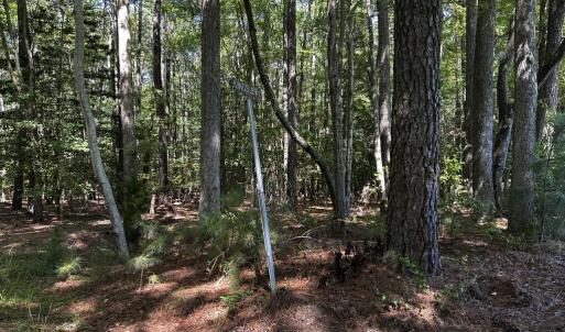 Photo #2 of 9,10,11 CUSTIS CREEK LANE, ACCOMAC, VA 4.0 acres