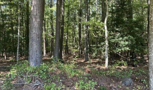 Photo #3 of 9,10,11 CUSTIS CREEK LANE, ACCOMAC, VA 4.0 acres