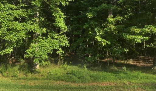 Photo #2 of Lot 1076 AMIDSHIP DR, GREENBACKVILLE, VA 9.0 acres