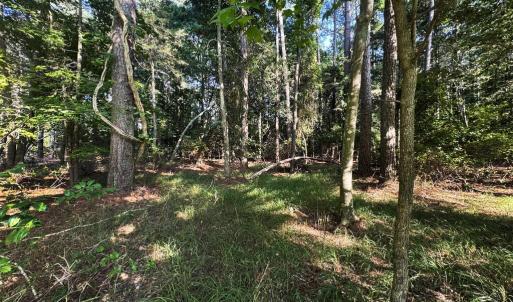 Photo #3 of Lot 1076 AMIDSHIP DR, GREENBACKVILLE, VA 9.0 acres