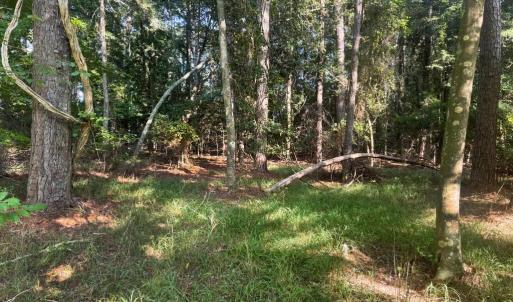 Photo #4 of Lot 1076 AMIDSHIP DR, GREENBACKVILLE, VA 9.0 acres