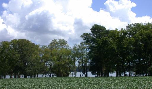 Photo #8 of Lot 9 CHURCH POINT LN, MACHIPONGO, VA 6.6 acres