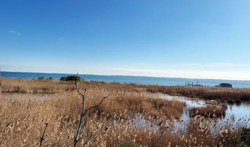 Photo #2 of Lot 718 CASTAWAY DR, GREENBACKVILLE, VA 7.0 acres