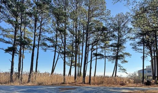 Photo #5 of Lot 718 CASTAWAY DR, GREENBACKVILLE, VA 7.0 acres