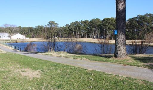 Photo #2 of 391 MERIDIAN DR, GREENBACKVILLE, VA 92.0 acres