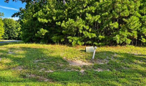 Photo #4 of 107-110 OYSTER COURT, PAINTER, VA 11.5 acres
