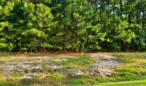 Photo #5 of 107-110 OYSTER COURT, PAINTER, VA 11.5 acres