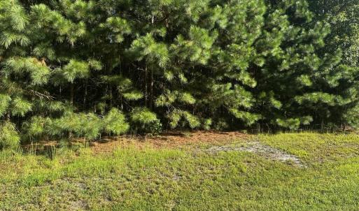 Photo #6 of 107-110 OYSTER COURT, PAINTER, VA 11.5 acres