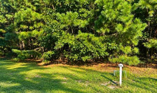 Photo #7 of 107-110 OYSTER COURT, PAINTER, VA 11.5 acres