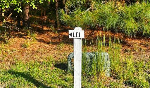 Photo #8 of 107-110 OYSTER COURT, PAINTER, VA 11.5 acres