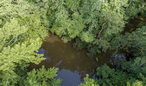 Photo #14 of 1 HURST STORE ROAD, GREENBUSH, VA 1.5 acres