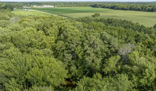 Photo #16 of 1 HURST STORE ROAD, GREENBUSH, VA 1.5 acres
