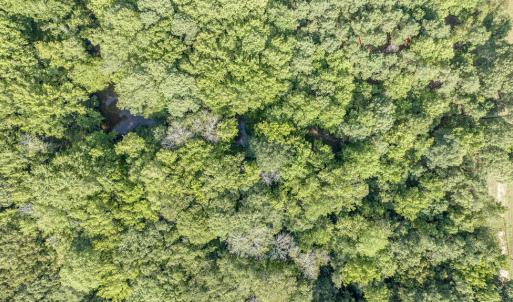 Photo #22 of 1 HURST STORE ROAD, GREENBUSH, VA 1.5 acres