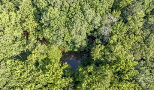 Photo #23 of 1 HURST STORE ROAD, GREENBUSH, VA 1.5 acres