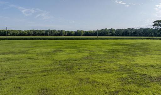 Photo #4 of 1 HURST STORE ROAD, GREENBUSH, VA 1.5 acres