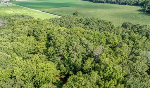 Photo #18 of 2 HURST STORE ROAD, GREENBUSH, VA 1.4 acres