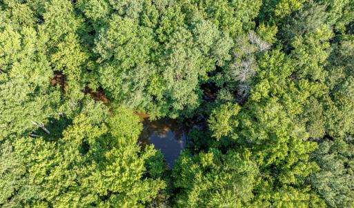 Photo #30 of 2 HURST STORE ROAD, GREENBUSH, VA 1.4 acres