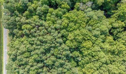 Photo #13 of 4 HURST STORE ROAD, GREENBUSH, VA 1.8 acres