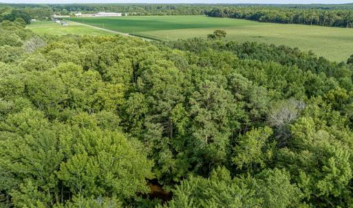 Photo #15 of 4 HURST STORE ROAD, GREENBUSH, VA 1.8 acres