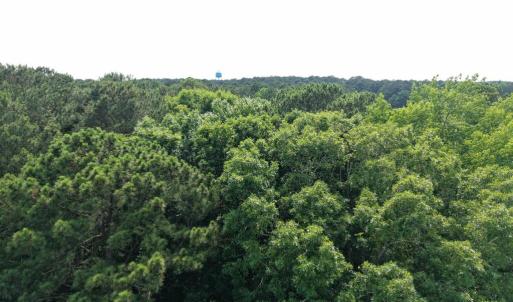 Photo #12 of LOT 37 LANKFORD HWY, EXMORE, VA 6.4 acres
