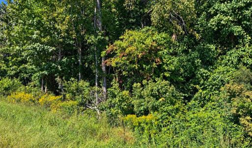 Photo #2 of LANKFORD HWY, ACCOMAC, VA 5.4 acres