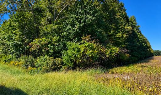 Photo #3 of LANKFORD HWY, ACCOMAC, VA 5.4 acres