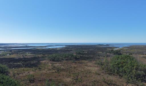 Photo #13 of LOT 42 PARKERS LANDING, PARKSLEY, VA 30.0 acres