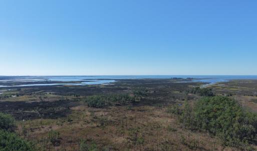Photo #14 of LOT 42 PARKERS LANDING, PARKSLEY, VA 30.0 acres