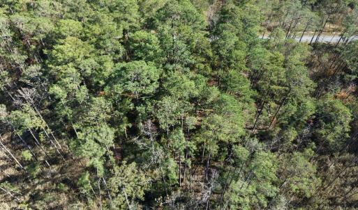 Photo #19 of LOT 42 PARKERS LANDING, PARKSLEY, VA 30.0 acres