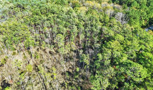 Photo #2 of LOT 42 PARKERS LANDING, PARKSLEY, VA 30.0 acres