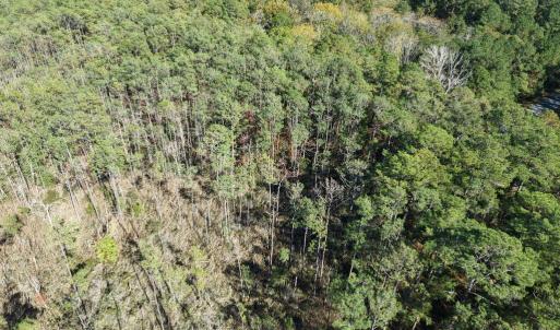 Photo #22 of LOT 42 PARKERS LANDING, PARKSLEY, VA 30.0 acres