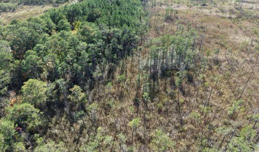 Photo #23 of LOT 42 PARKERS LANDING, PARKSLEY, VA 30.0 acres