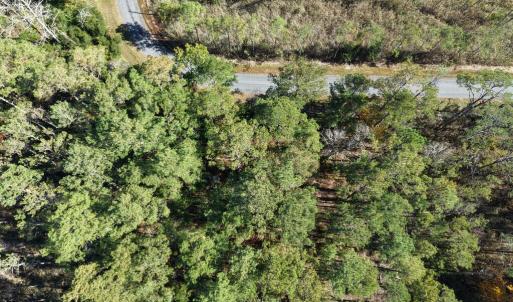 Photo #26 of LOT 42 PARKERS LANDING, PARKSLEY, VA 30.0 acres