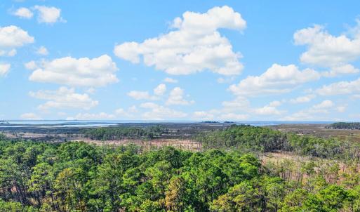 Photo #5 of LOT 42 PARKERS LANDING, PARKSLEY, VA 30.0 acres