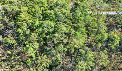 Photo #8 of LOT 42 PARKERS LANDING, PARKSLEY, VA 30.0 acres