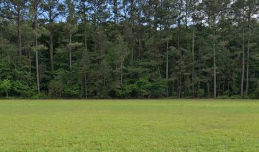Photo #2 of Lot 61 SAXIS RD, SAXIS, VA 3.0 acres
