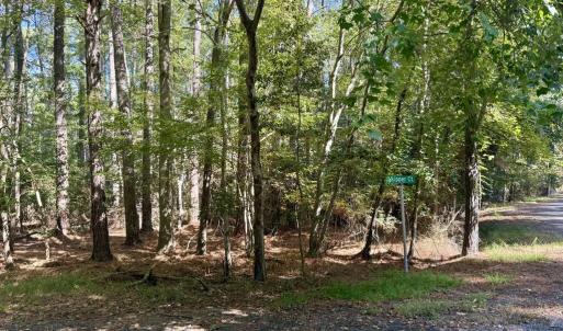 Photo #10 of Lot 551 SKIPPER CT, GREENBACKVILLE, VA 0.3 acres