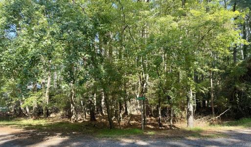 Photo #11 of Lot 551 SKIPPER CT, GREENBACKVILLE, VA 0.3 acres