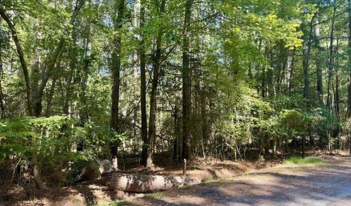 Photo #3 of Lot 551 SKIPPER CT, GREENBACKVILLE, VA 0.3 acres