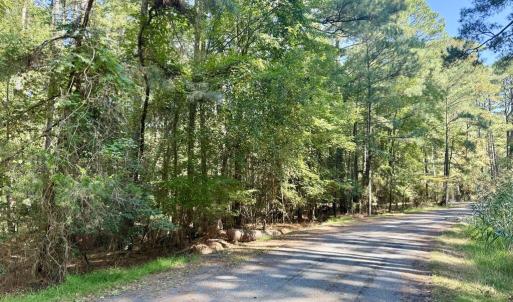 Photo #4 of Lot 551 SKIPPER CT, GREENBACKVILLE, VA 0.3 acres