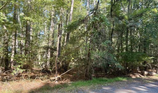 Photo #5 of Lot 551 SKIPPER CT, GREENBACKVILLE, VA 0.3 acres