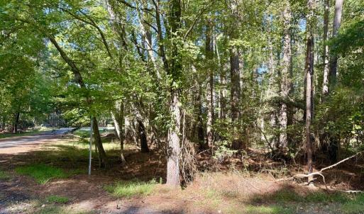 Photo #6 of Lot 551 SKIPPER CT, GREENBACKVILLE, VA 0.3 acres