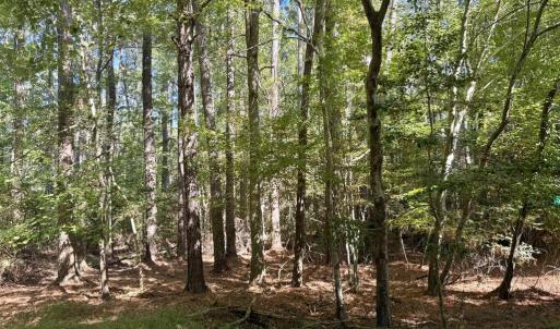 Photo #9 of Lot 551 SKIPPER CT, GREENBACKVILLE, VA 0.3 acres