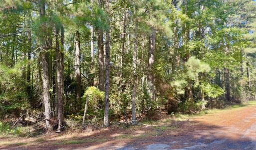 Photo #10 of Lot 552 CAPE HORN CT, GREENBACKVILLE, VA 0.3 acres