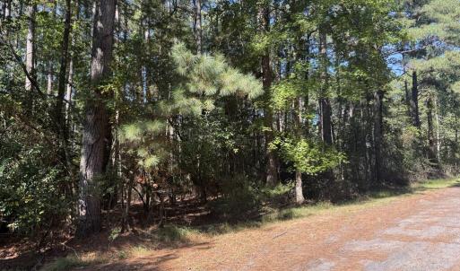 Photo #11 of Lot 552 CAPE HORN CT, GREENBACKVILLE, VA 0.3 acres