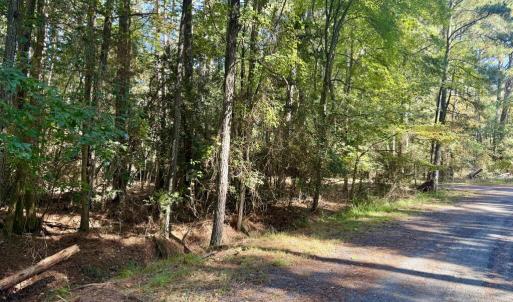 Photo #12 of Lot 552 CAPE HORN CT, GREENBACKVILLE, VA 0.3 acres