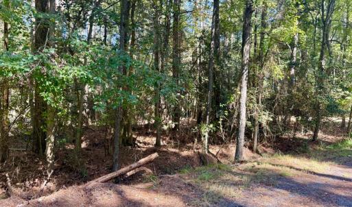 Photo #13 of Lot 552 CAPE HORN CT, GREENBACKVILLE, VA 0.3 acres