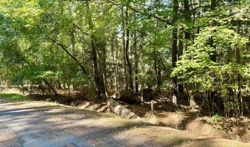 Photo #2 of Lot 552 CAPE HORN CT, GREENBACKVILLE, VA 0.3 acres
